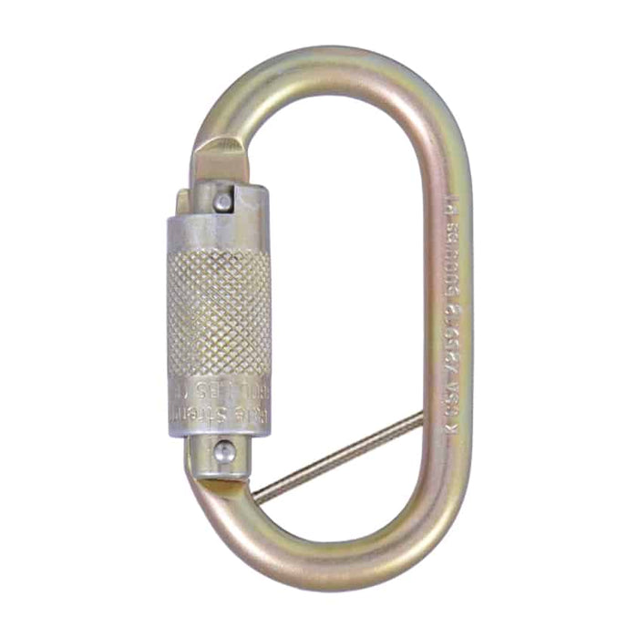 Steel Carabiner with Quarter Turn Locking Gate Opening 17mm - Conveying & Hoisting Solutions