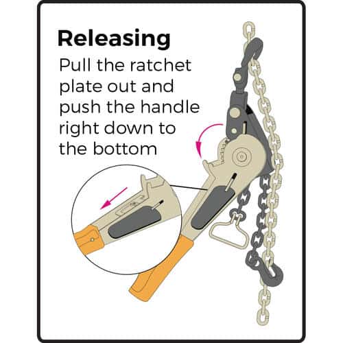 Maxibinder with Swivel Head Chain Tie Downs for Trucks - Conveying & Hoisting Solutions